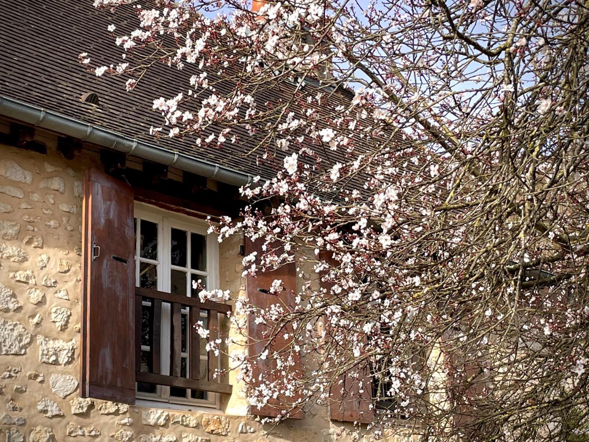 Evergreen Guesthouse Vernon  Exteriér fotografie